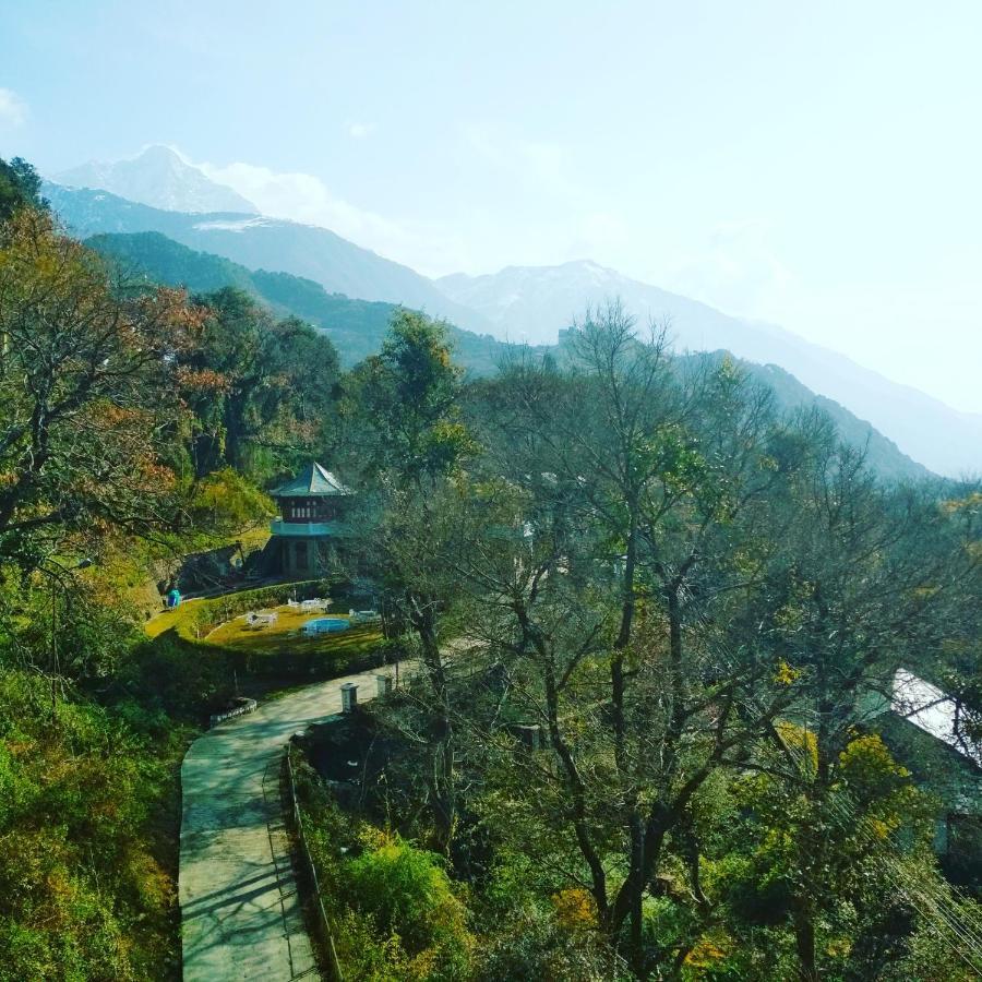 Hotel Bliss Valley Dharamshala - Beautiful View Of Mountains From Rooms المظهر الخارجي الصورة