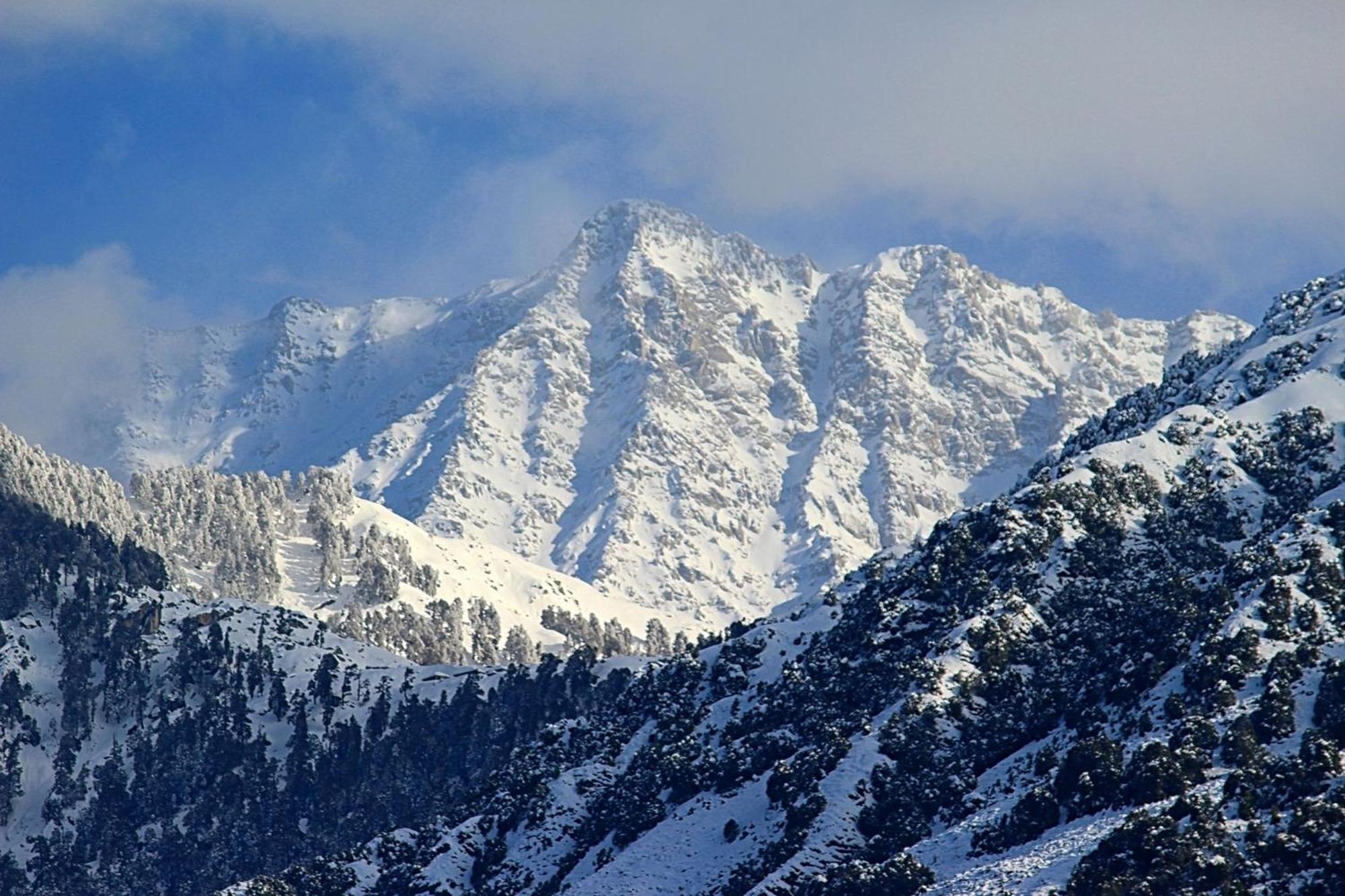 Hotel Bliss Valley Dharamshala - Beautiful View Of Mountains From Rooms المظهر الخارجي الصورة